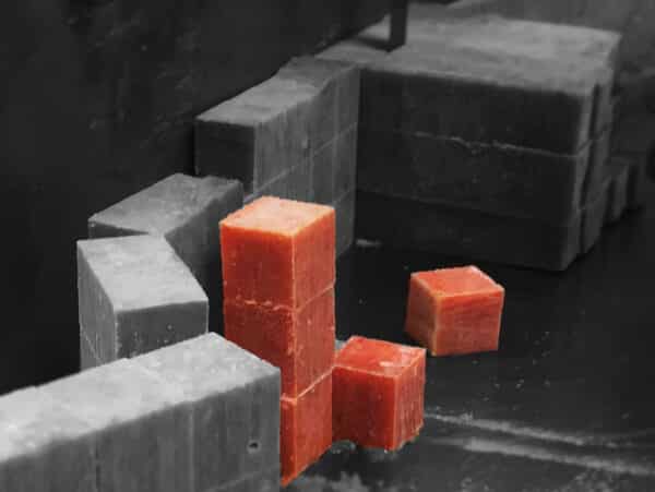 Salmon Cubes