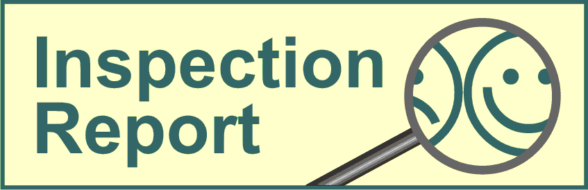 Inspection report for Arctic Salar